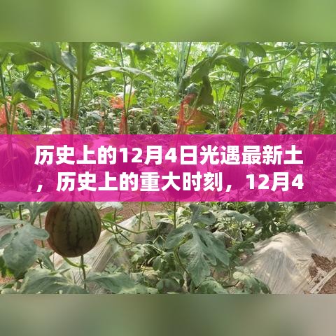 歷史上的重大時刻，探索與影響——12月4日光遇最新土