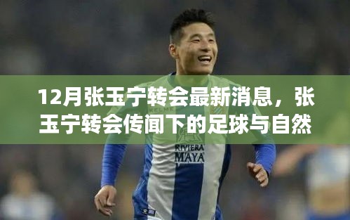 張玉寧轉(zhuǎn)會(huì)傳聞背后的足球與自然美景之旅，心靈之旅的奇妙交融