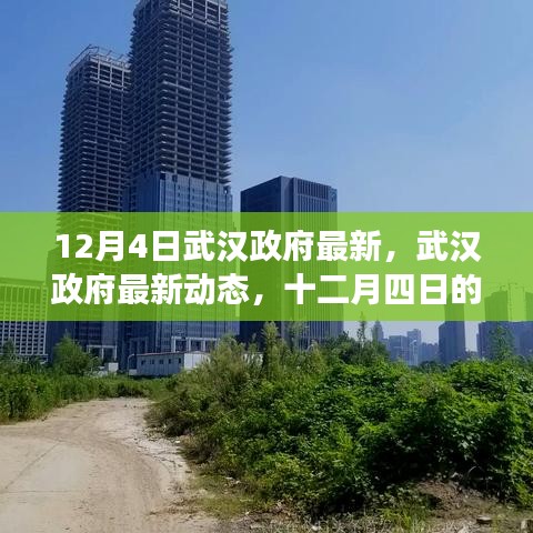 武漢政府最新動態(tài)解讀，十二月四日的深度解讀與影響