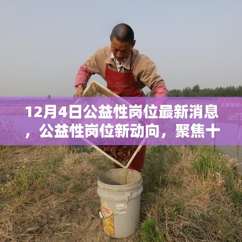 聚焦十二月四日，公益性崗位最新動態(tài)與動向消息