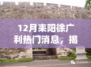 揭秘耒陽小巷深處的寶藏，徐廣利熱門消息中的特色小店