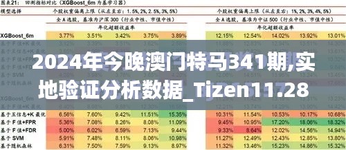 2024年今晚澳門特馬341期,實(shí)地驗(yàn)證分析數(shù)據(jù)_Tizen11.288