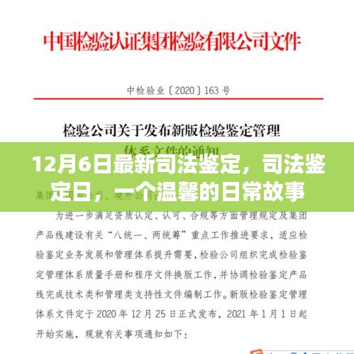 司法鑒定日，溫馨日常故事揭曉