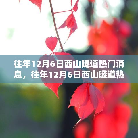 往年12月6日西山隧道熱門消息回顧與一覽