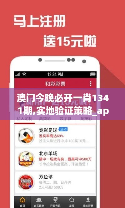 澳門今晚必開一肖1341期,實地驗證策略_app6.981