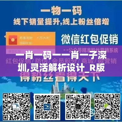 一肖一碼一一肖一子深圳,靈活解析設計_R版5.270