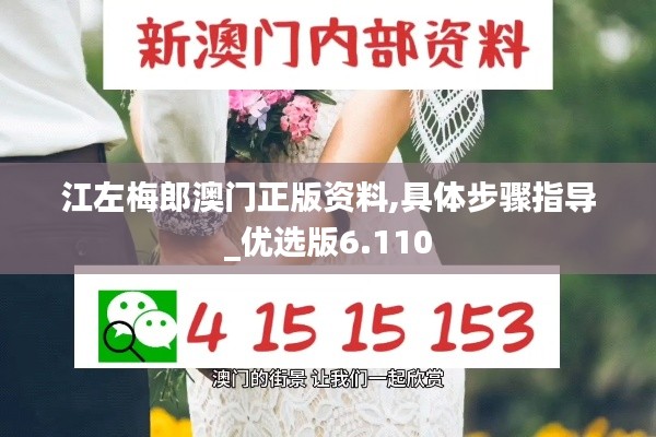 江左梅郎澳門正版資料,具體步驟指導(dǎo)_優(yōu)選版6.110