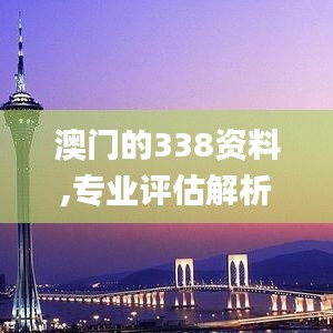 澳門的338資料,專業(yè)評估解析_DX版110.647