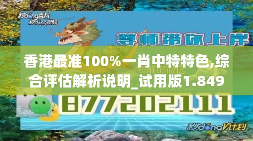 香港最準(zhǔn)100%一肖中特特色,綜合評(píng)估解析說(shuō)明_試用版1.849