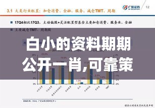 白小的資料期期公開一肖,可靠策略分析_X9.949