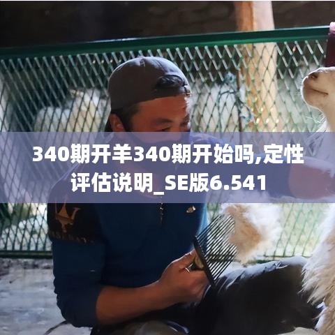 340期開羊340期開始嗎,定性評估說明_SE版6.541