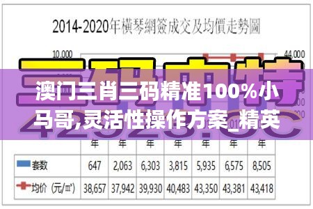 澳門三肖三碼精準(zhǔn)100%小馬哥,靈活性操作方案_精英款6.972