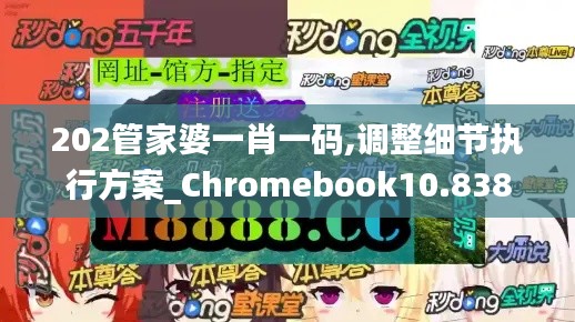 202管家婆一肖一碼,調(diào)整細(xì)節(jié)執(zhí)行方案_Chromebook10.838
