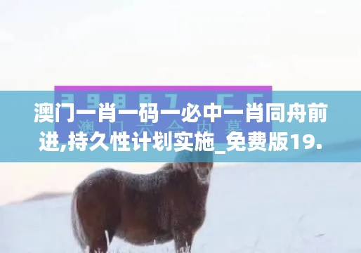 澳門一肖一碼一必中一肖同舟前進(jìn),持久性計(jì)劃實(shí)施_免費(fèi)版19.373
