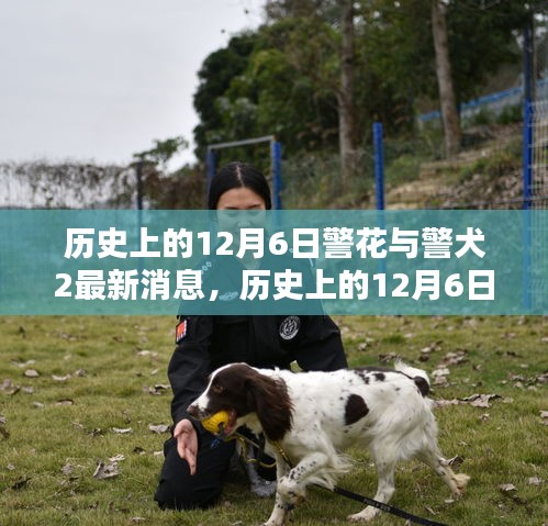 歷史上的12月6日，警花與警犬的最新動態(tài)及消息速遞