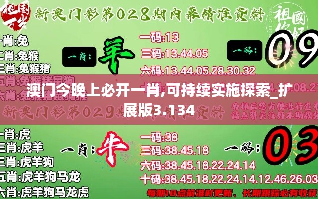 澳門今晚上必開一肖,可持續(xù)實(shí)施探索_擴(kuò)展版3.134