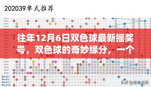 往年12月6日雙色球最新?lián)u獎號，雙色球的奇妙緣分，一個關于友情、夢想與溫馨日常的溫馨故事