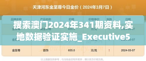 搜索澳門2024年341期資料,實地數(shù)據(jù)驗證實施_Executive5.893