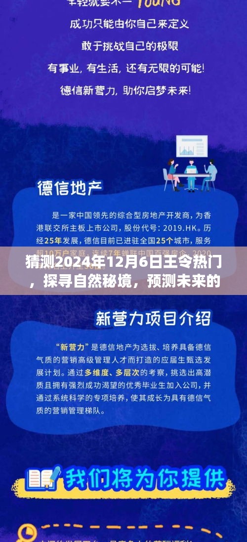 猜測2024年12月6日王令熱門，探尋自然秘境，預(yù)測未來的王令熱門之旅，一場遠(yuǎn)離塵囂的心靈覺醒之旅
