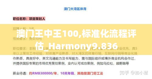 澳門王中王100,標準化流程評估_Harmony9.836