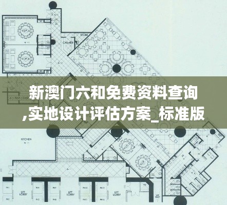 新澳門(mén)六和免費(fèi)資料查詢,實(shí)地設(shè)計(jì)評(píng)估方案_標(biāo)準(zhǔn)版5.951