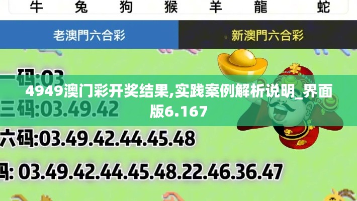 4949澳門彩開獎結(jié)果,實(shí)踐案例解析說明_界面版6.167