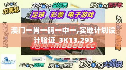 澳門一肖一碼一中一,實(shí)地計劃設(shè)計驗(yàn)證_3K13.293
