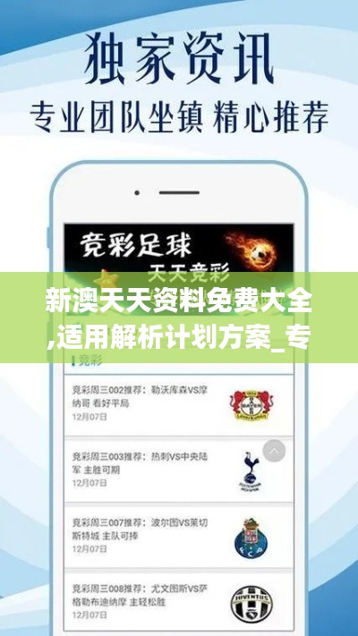 新澳天天資料免費大全,適用解析計劃方案_專屬款3.765