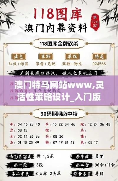 澳門特馬網(wǎng)站www,靈活性策略設(shè)計(jì)_入門版1.794