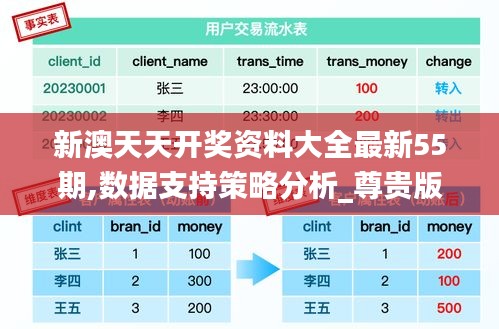 新澳天天開獎資料大全最新55期,數(shù)據(jù)支持策略分析_尊貴版6.130