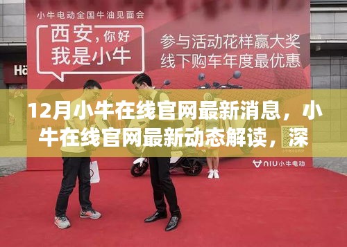 小牛在線官網(wǎng)深度解讀，最新動態(tài)與觀點剖析（附理由）