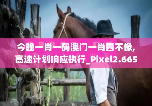 今晚一肖一碼澳門一肖四不像,高速計劃響應執(zhí)行_Pixel2.665
