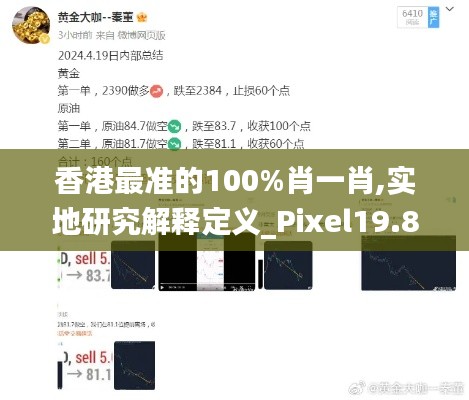 香港最準的100%肖一肖,實地研究解釋定義_Pixel19.877