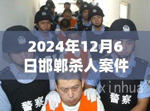 2024年12月6日邯鄲殺人案件最新2017，邯鄲殺人案，聚焦案件細節(jié)與公眾觀點探討