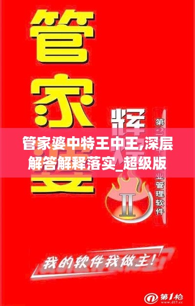 管家婆中特王中王,深層解答解釋落實(shí)_超級(jí)版2.633