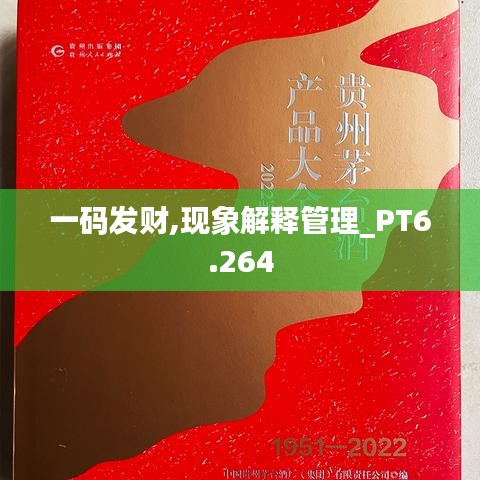 一碼發(fā)財,現(xiàn)象解釋管理_PT6.264