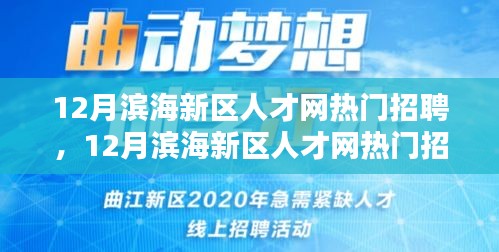 12月濱海新區(qū)人才網(wǎng)熱門招聘，12月濱海新區(qū)人才網(wǎng)熱門招聘探秘，求職者的黃金機(jī)遇