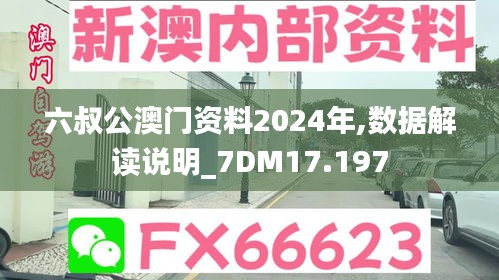 六叔公澳門資料2024年,數(shù)據(jù)解讀說明_7DM17.197