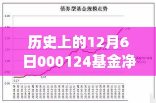 歷史上的基金凈值分析，以12月6日為例，探究金融脈絡與今日熱門凈值