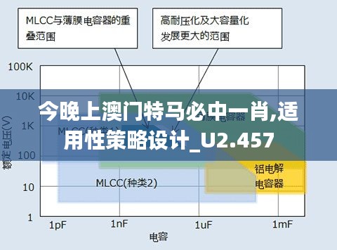 今晚上澳門特馬必中一肖,適用性策略設計_U2.457