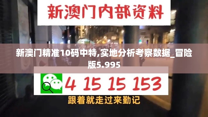 新澳門精準(zhǔn)10碼中特,實地分析考察數(shù)據(jù)_冒險版5.995