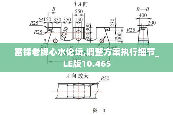 雷鋒老牌心水論壇,調(diào)整方案執(zhí)行細(xì)節(jié)_LE版10.465