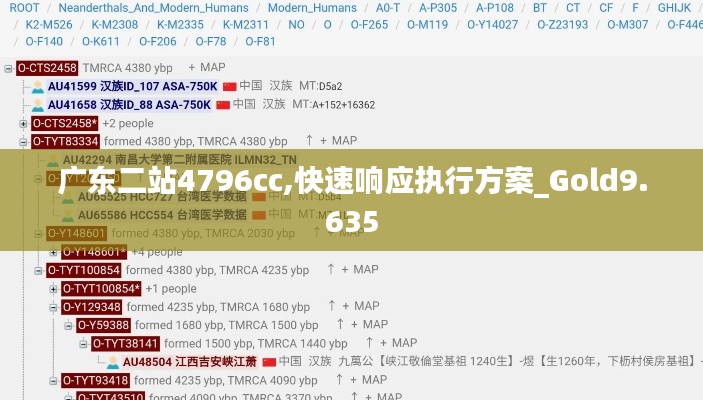 廣東二站4796cc,快速響應(yīng)執(zhí)行方案_Gold9.635