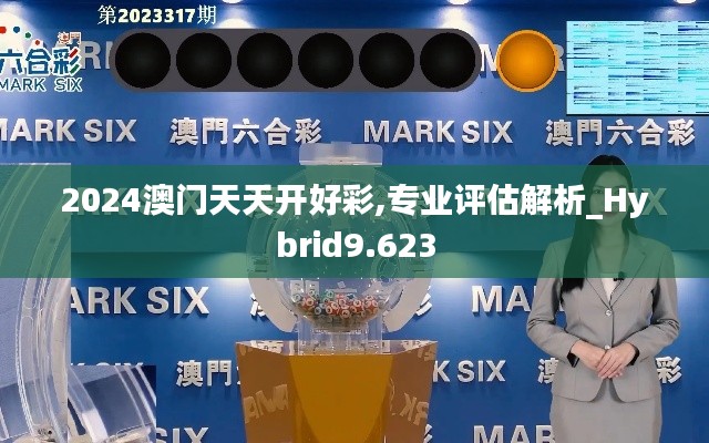 2024澳門天天開好彩,專業(yè)評(píng)估解析_Hybrid9.623