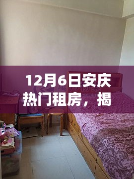 12月6日安慶熱門租房，揭秘安慶小巷深處的寶藏，12月6日熱門租房特色小店