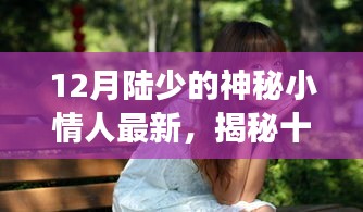 揭秘十二月陸少的神秘小情人，背景、事件與深度影響分析
