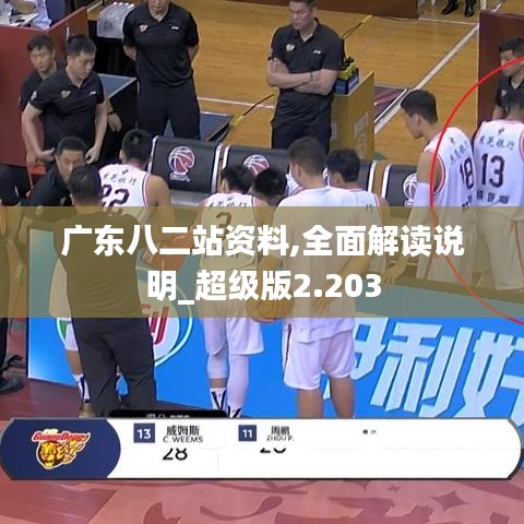 廣東八二站資料,全面解讀說(shuō)明_超級(jí)版2.203
