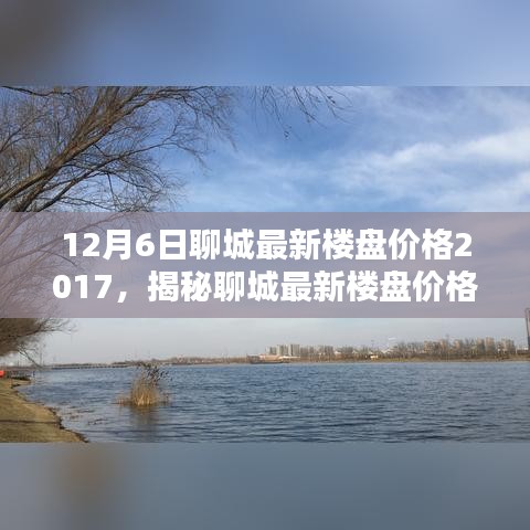 揭秘聊城最新樓盤(pán)價(jià)格動(dòng)態(tài)，深度解析2017年12月6日聊城樓盤(pán)價(jià)格走勢(shì)及要點(diǎn)詳解