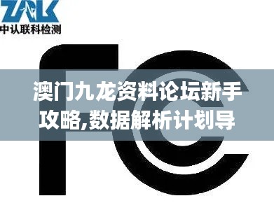 澳門九龍資料論壇新手攻略,數(shù)據(jù)解析計(jì)劃導(dǎo)向_Q10.565