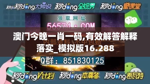 澳門今晚一肖一碼,有效解答解釋落實(shí)_模擬版16.288